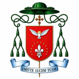 Brasão Diocese de Barra de São João